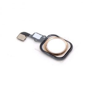 iPhone 6s Home button kabel Goud (champagne goud)